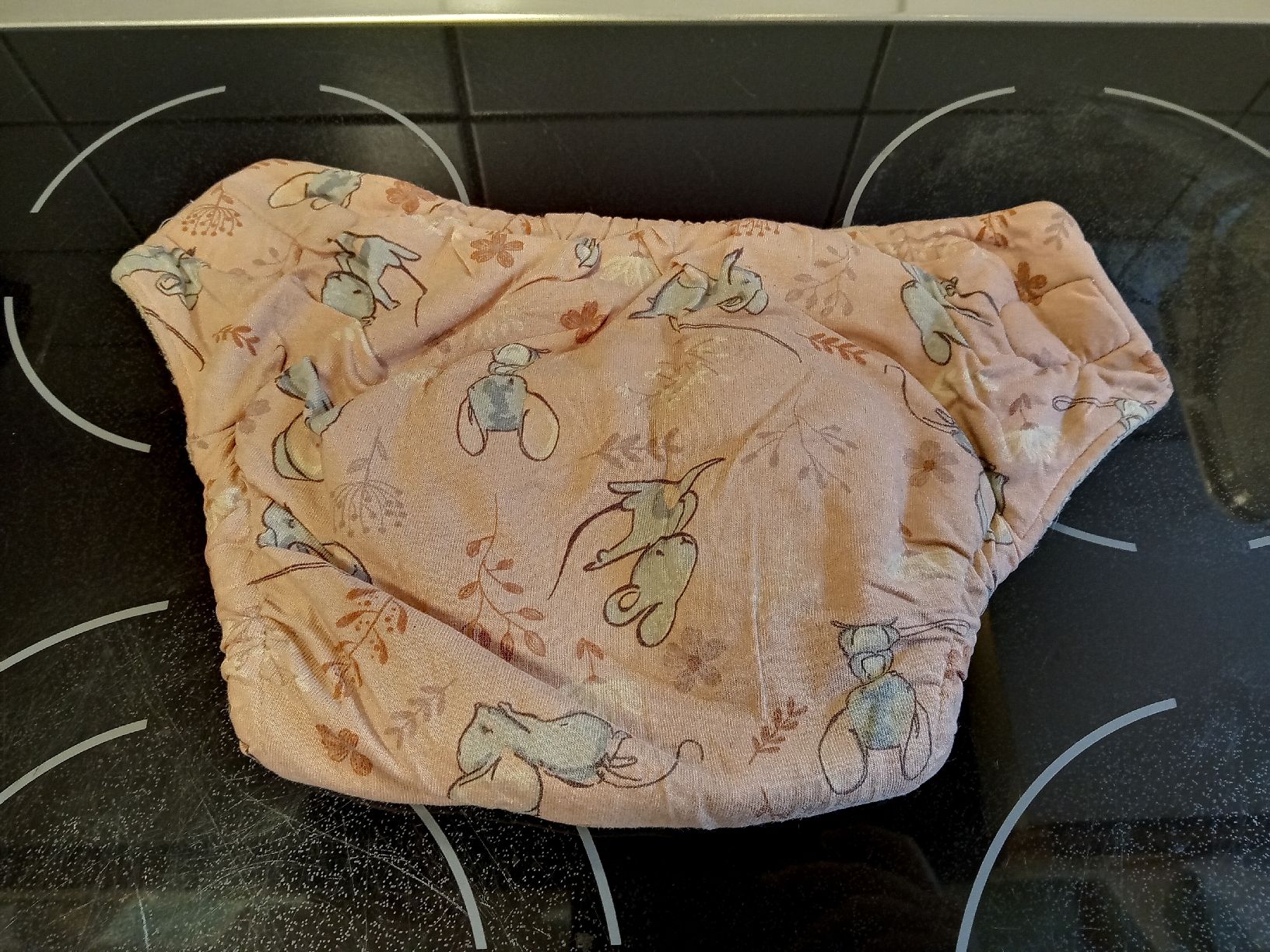 Secchi per pannolini & Pannolini: Anavy Wollüberhose Onesize gebraucht – Usato da Rehetobel venduto da Modi98 1