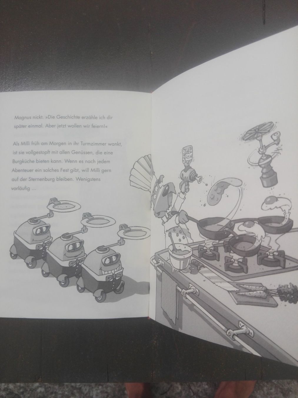 Libri: Milli & Magnus - Der verschwundene Baron – Usato da St.Galllen venduto da elkaphone 5