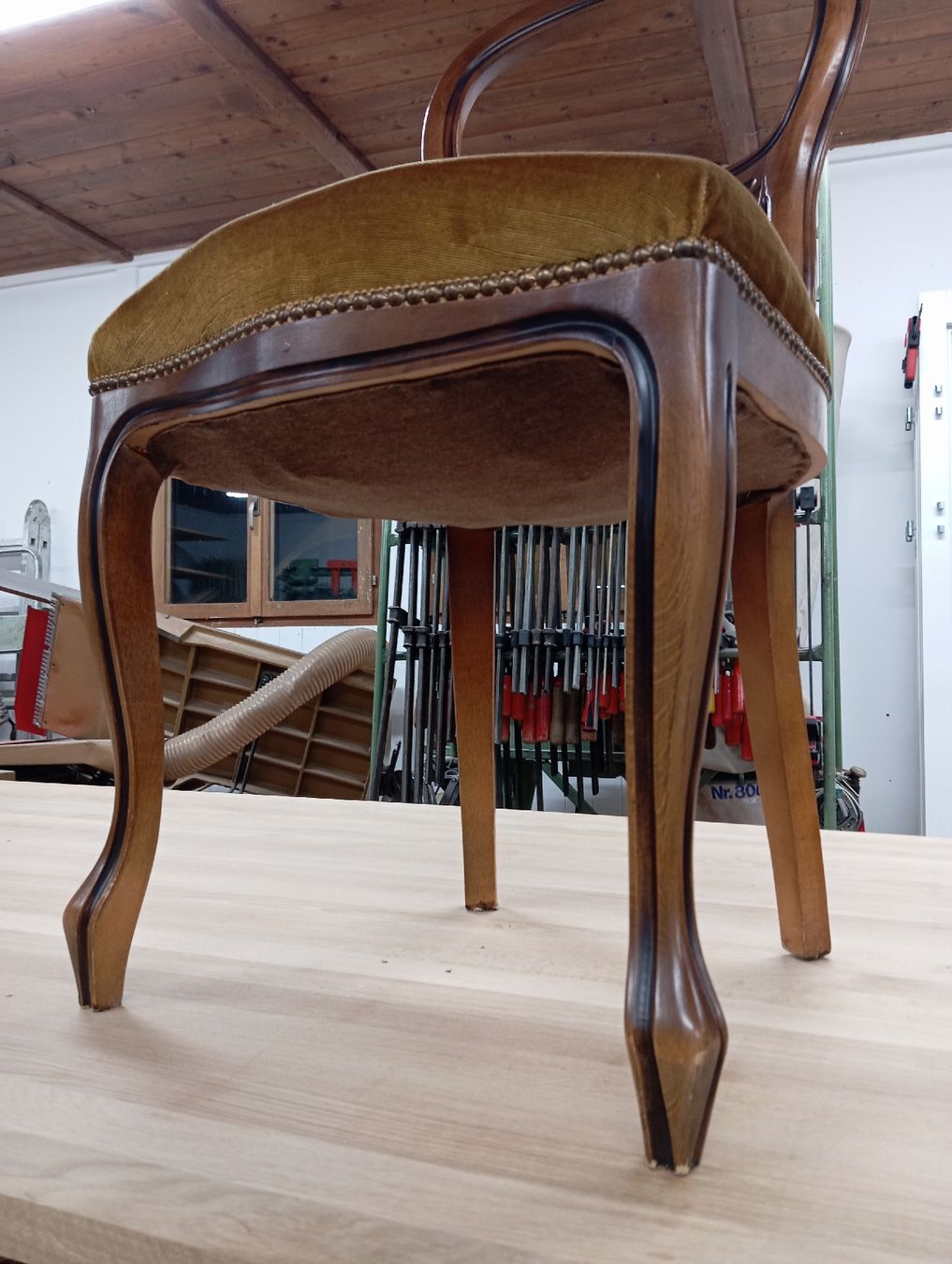 Stühle: 6er Set Stühle gepolster – Gebraucht aus Seedorf UR von 3beni 2