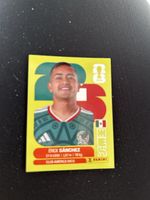 Panini MEX 14