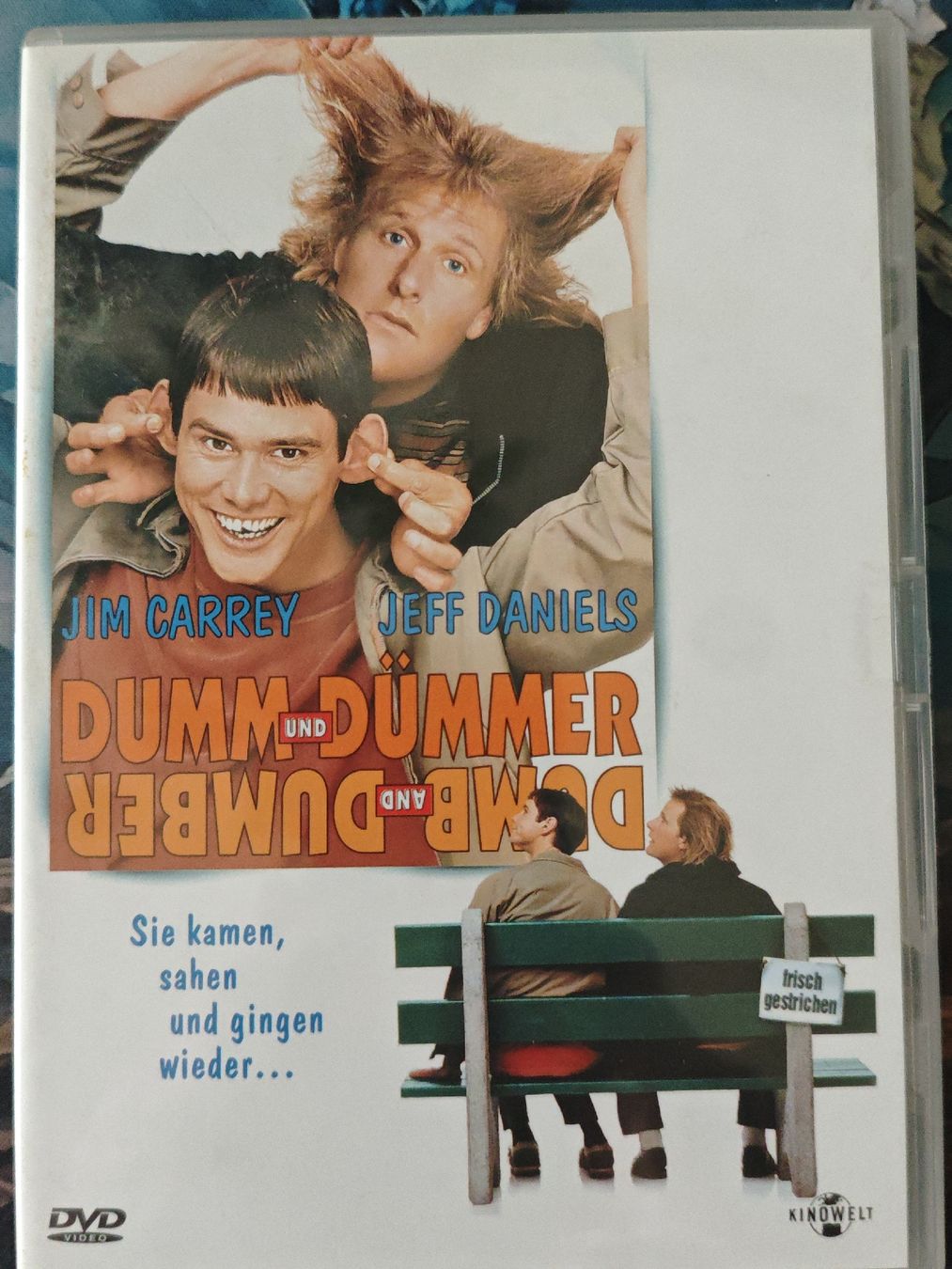 Tutti i DVDs: Dumm und Dümmer  – Usato da Laufenburg venduto da grossrto