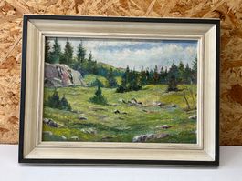 Der Tannenwald im Berner Jura von F.J. Erismann   (ID M413)