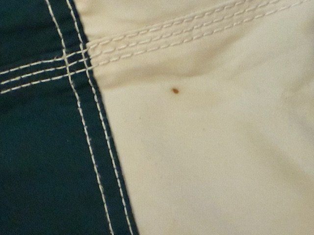 Superdry Pantaloni: Super Dry Short / Badehose / Freizeithose  Grün-Eierschale – Usato da Zollikon venduto da cyberbambi123 9