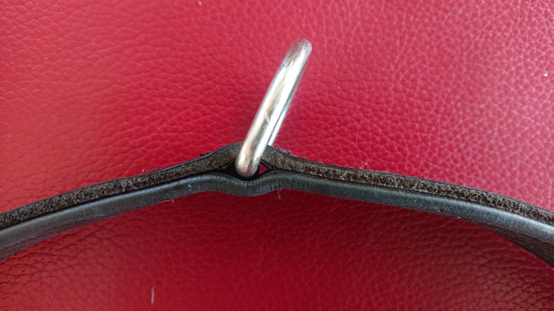 Leine & Halsband: Gut erhaltenes HUNTER Leder-Halsband – Gebraucht aus Huttwil von jusch2 1