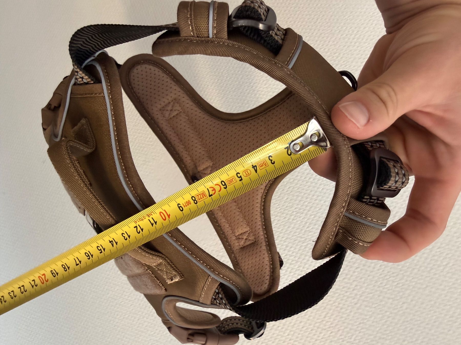 Leine & Halsband: Hundegeschirr Gr. M – Neu (gemäss Beschreibung) aus Altstätten SG von Noahhaef 3