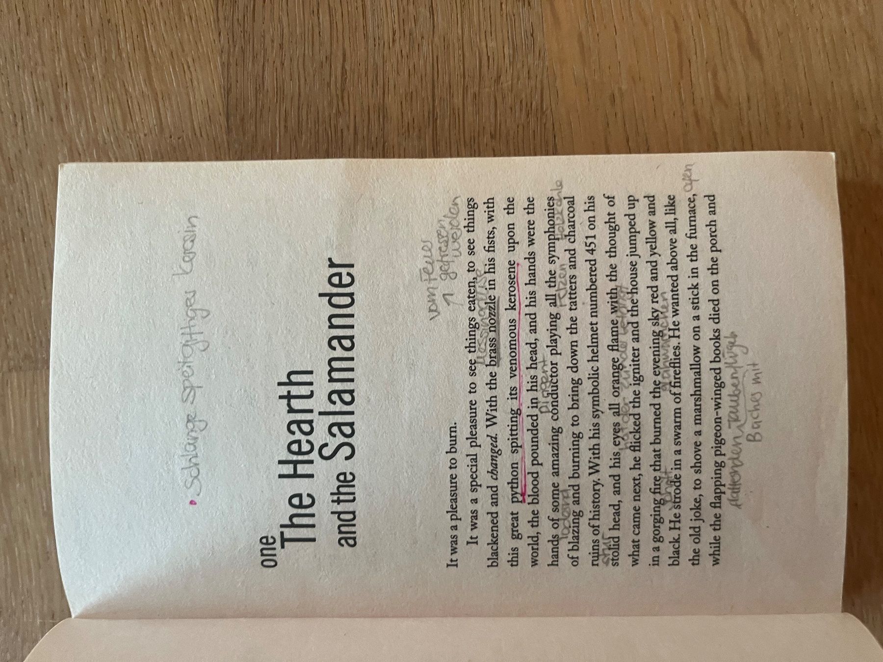 Libri: Fahrenheit 451 - Ray Bradbury – Usato da Laupen BE venduto da lee_ym6v 4