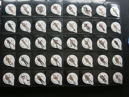 Serie     7507          Uniformen             Gastro +  Steg
