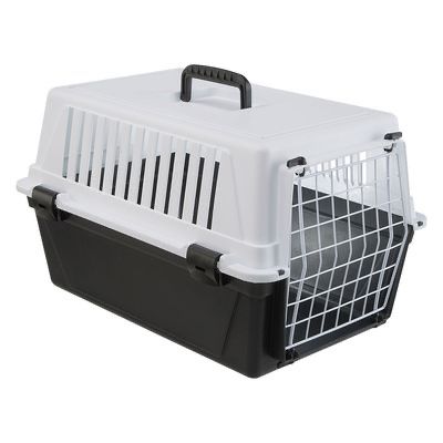 Altro in Decorazioni & Accessori: Transportkiste Katzen – Usato da Frutigen venduto da fabifabi03