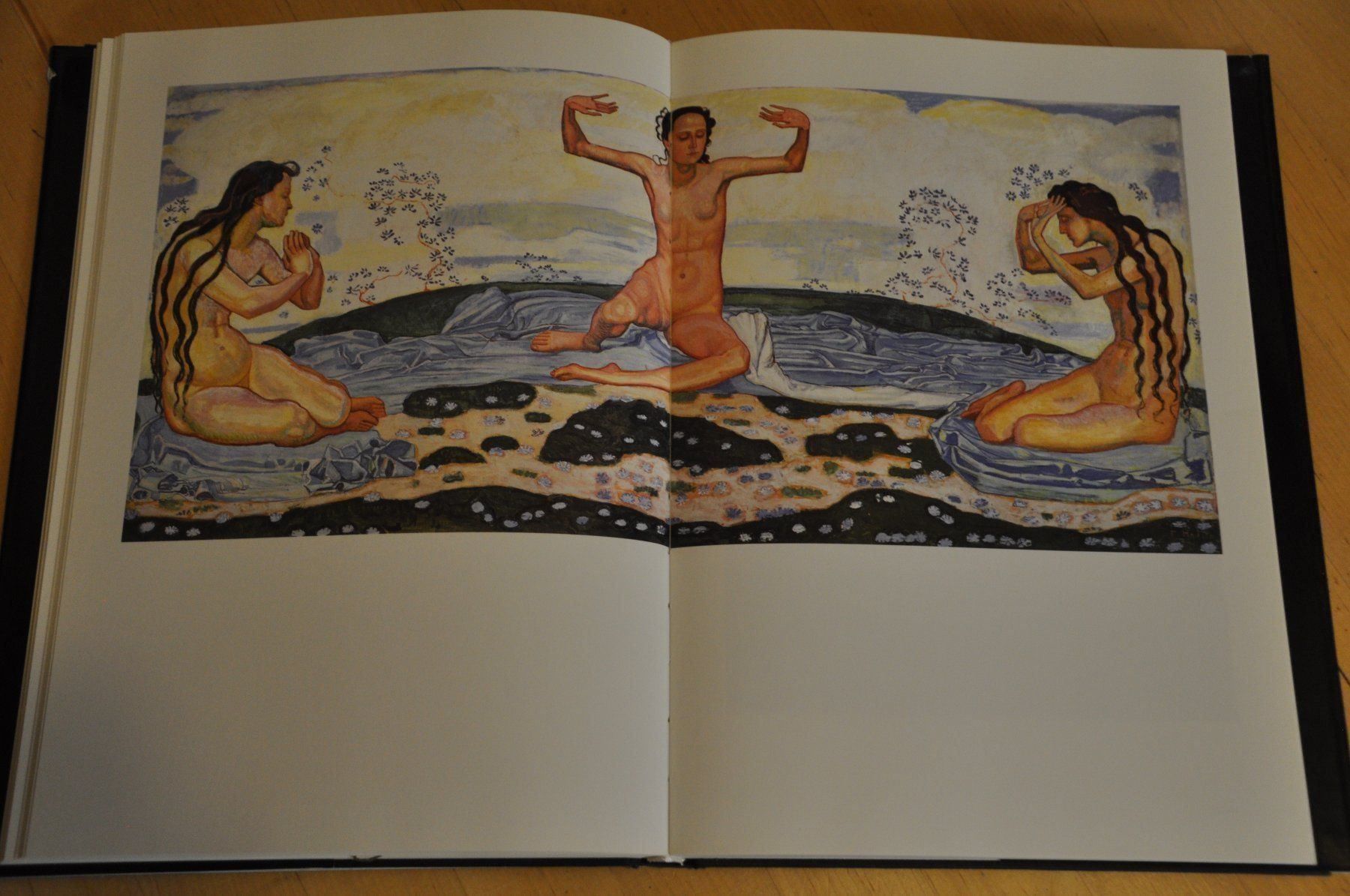 Libri: Buch  Schweizer Malerei – Usato da Worb venduto da Buespy 2