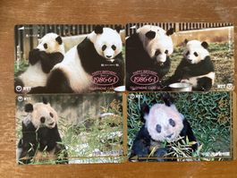 4 Telefonkarten Japan Panda-Bären