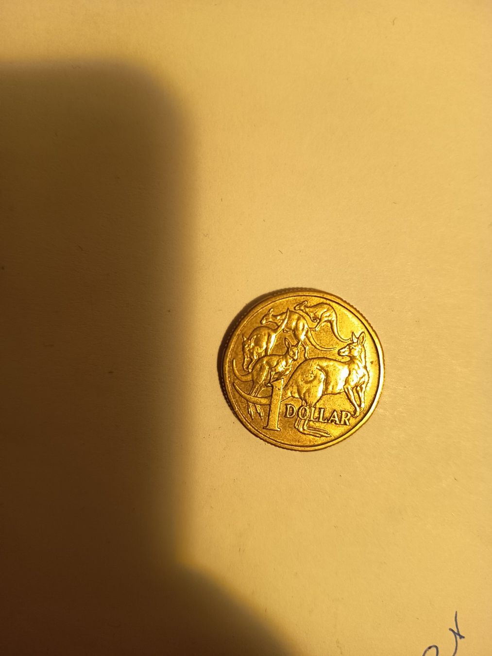 Tutti le monete: 1 dollar 1984 australien    nr 247 – Usato da Wattwil venduto da LuckyLegoandCoins