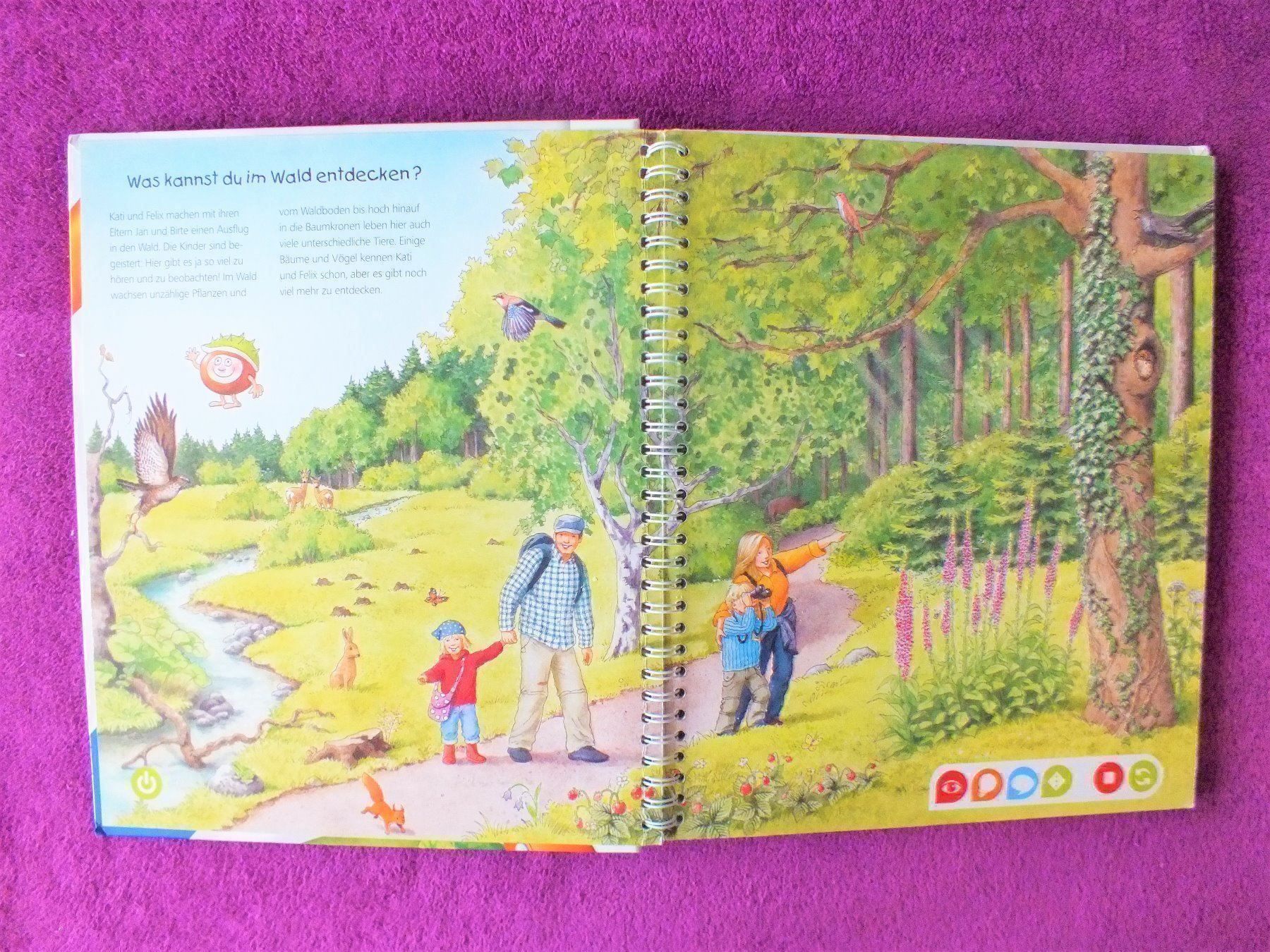 Libri: tiptoi Buch - Komm mit in den Wald – Usato da Müllheim Dorf venduto da Seeeule01 1