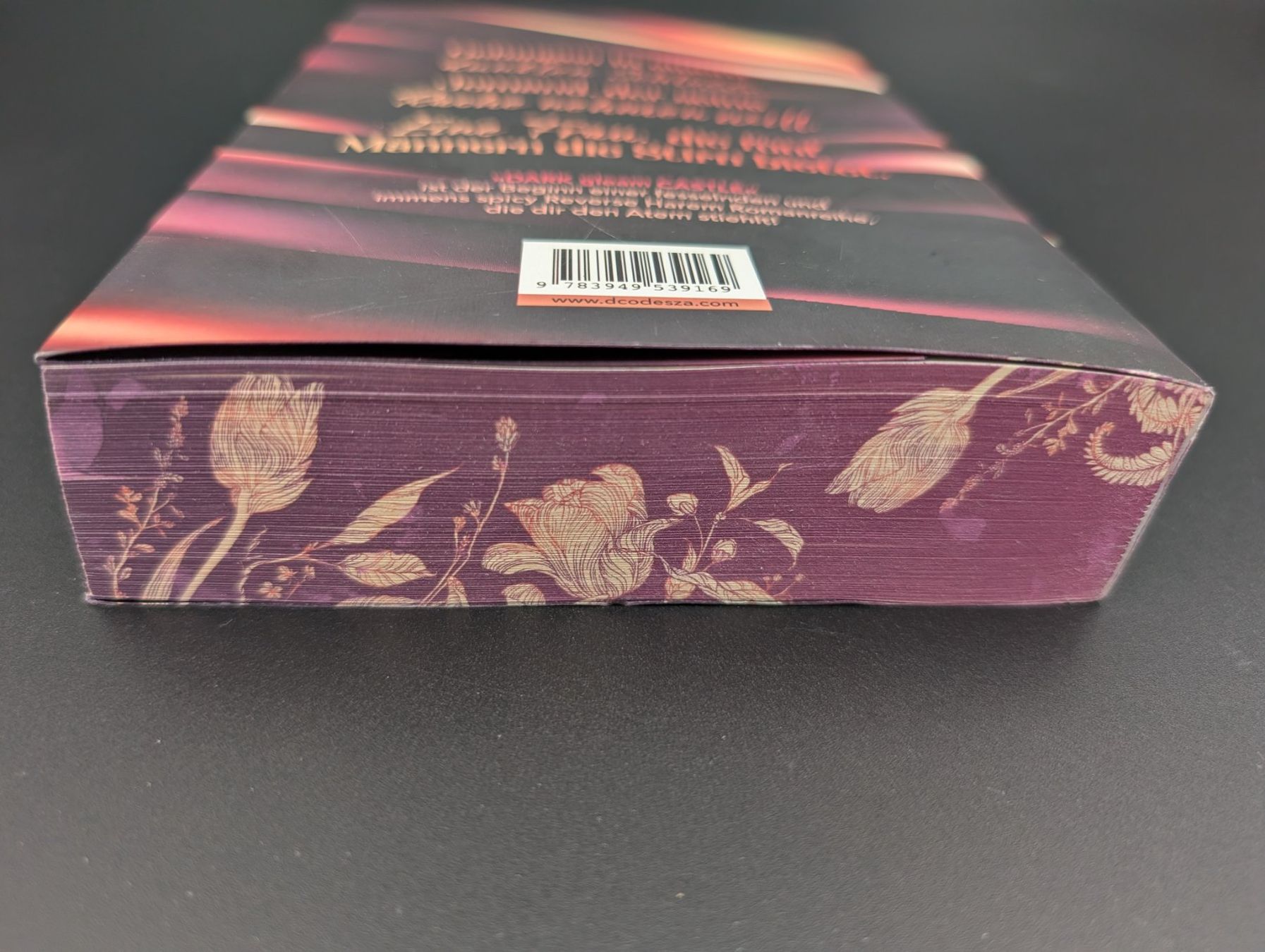 Libri: D.C. Odesza: Dark Gleam Castle – Usato da Wiezikon b.Sirnach venduto da CaRo_Second 3