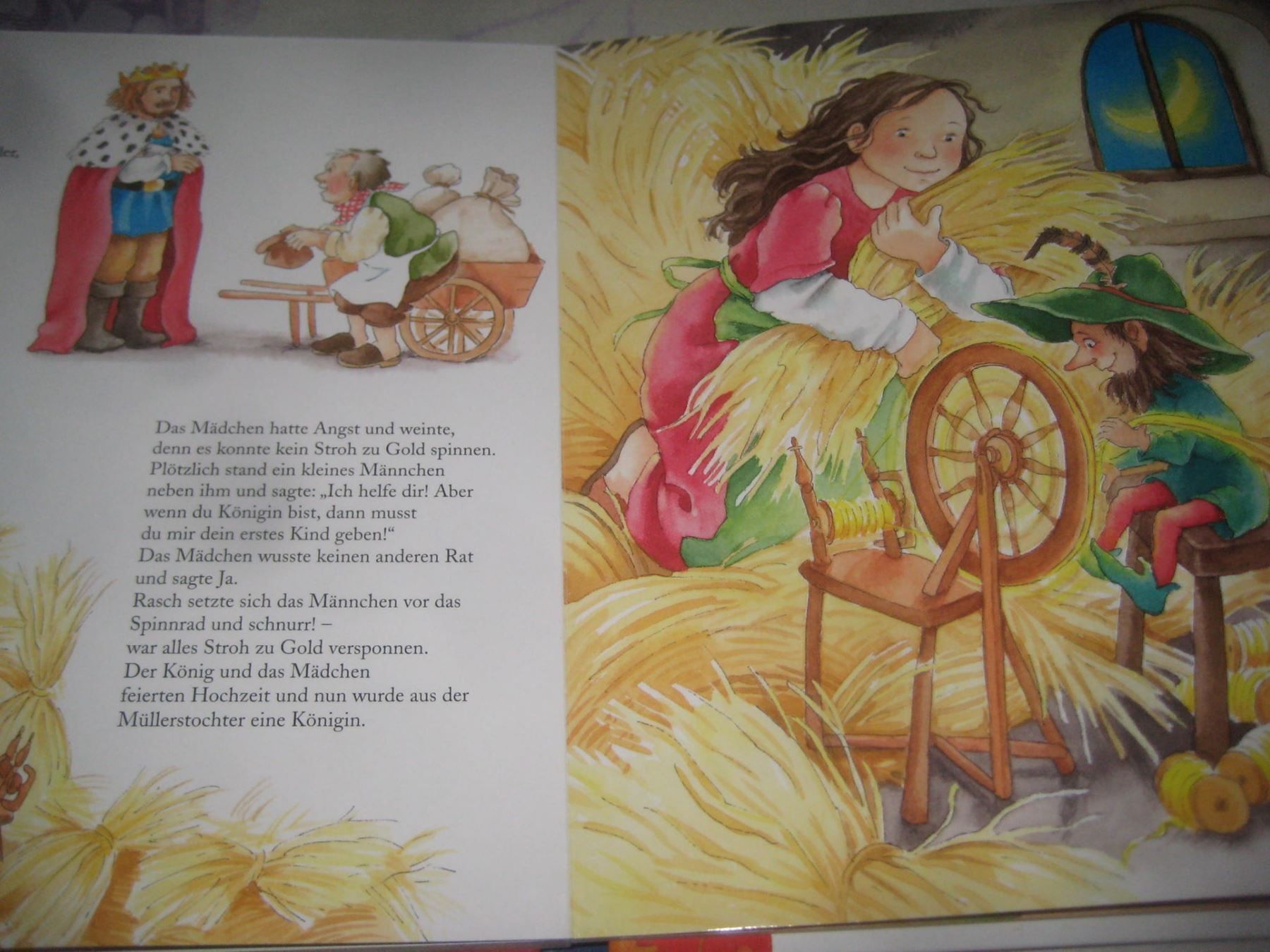 Libri: MEINE  ERSTE  KINDERBIBLIOTHEK – Usato da Uster venduto da flocke1 3