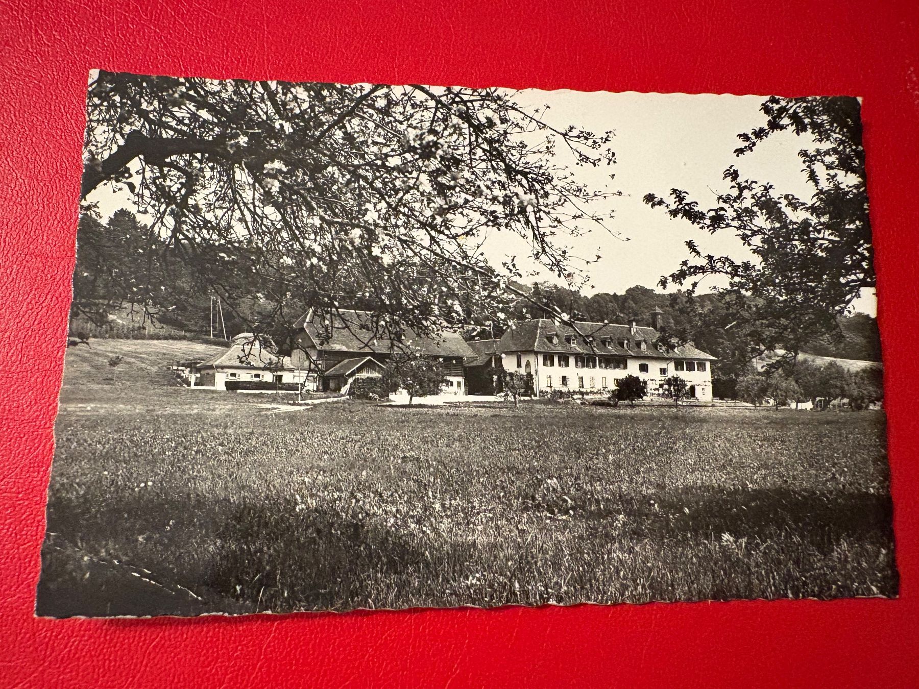 Cartoline postali: 1963 // Hotel Restaurant St. Petersinsel – Usato da St-Légier-La Chiésaz venduto da Theo005