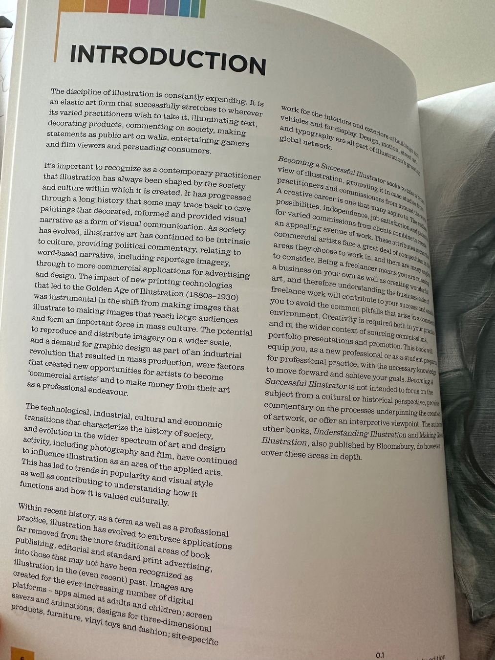 Libri: Becoming a Successful Illustrator – Usato da Zürich venduto da giga82 4