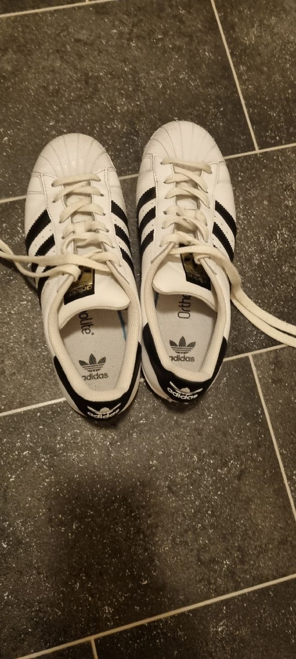 Adidas Chaussures femmes: Adidas Superstar, Grösse 38 2/3 – Neuf (Voir description) à Gattikon par myartshop 1