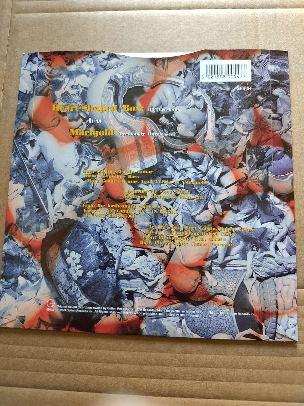 Dischi in vinile: Nirvana - Heart-Shaped Box 7" Single – Usato da Büsserach venduto da Bey23 1