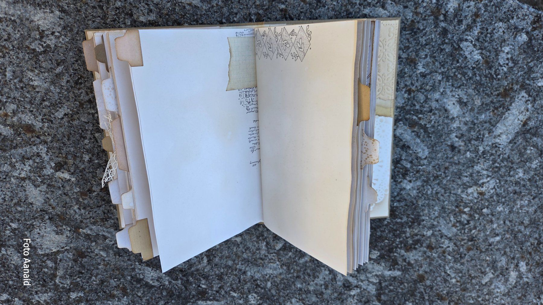 Carta: Scrapbook – Usato da Bremgarten AG venduto da HalDee 3