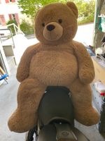Teddybär 160cm