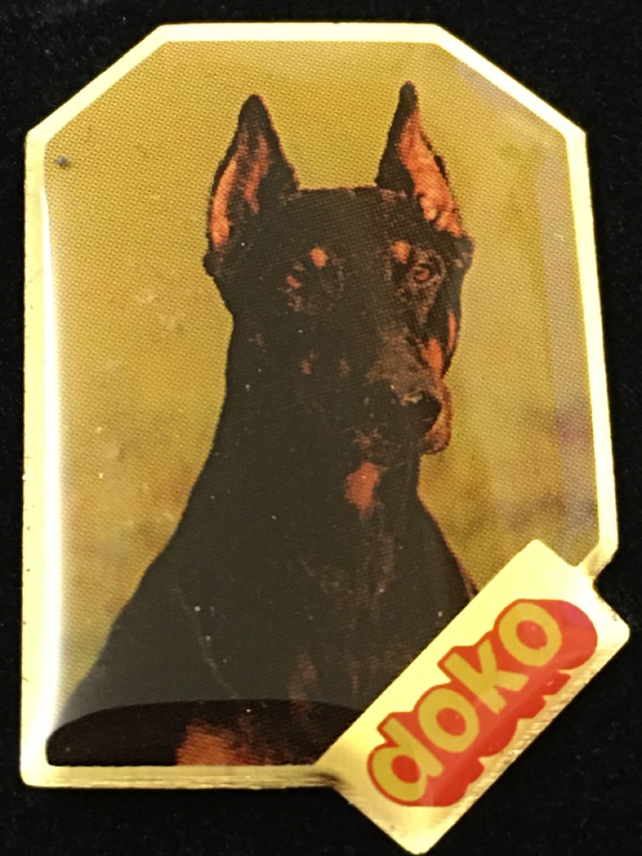 Plaketten & Abzeichen: PIN - Sammlung „doko“ – Gebraucht aus Wangen b. Olten von Finolino28 5
