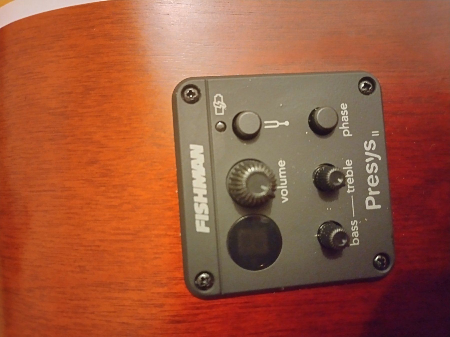 Seagull Strumenti musicali: Seagull Entourage Cutaway Presys 2 – Usato da Basel venduto da kea_9jr9 4
