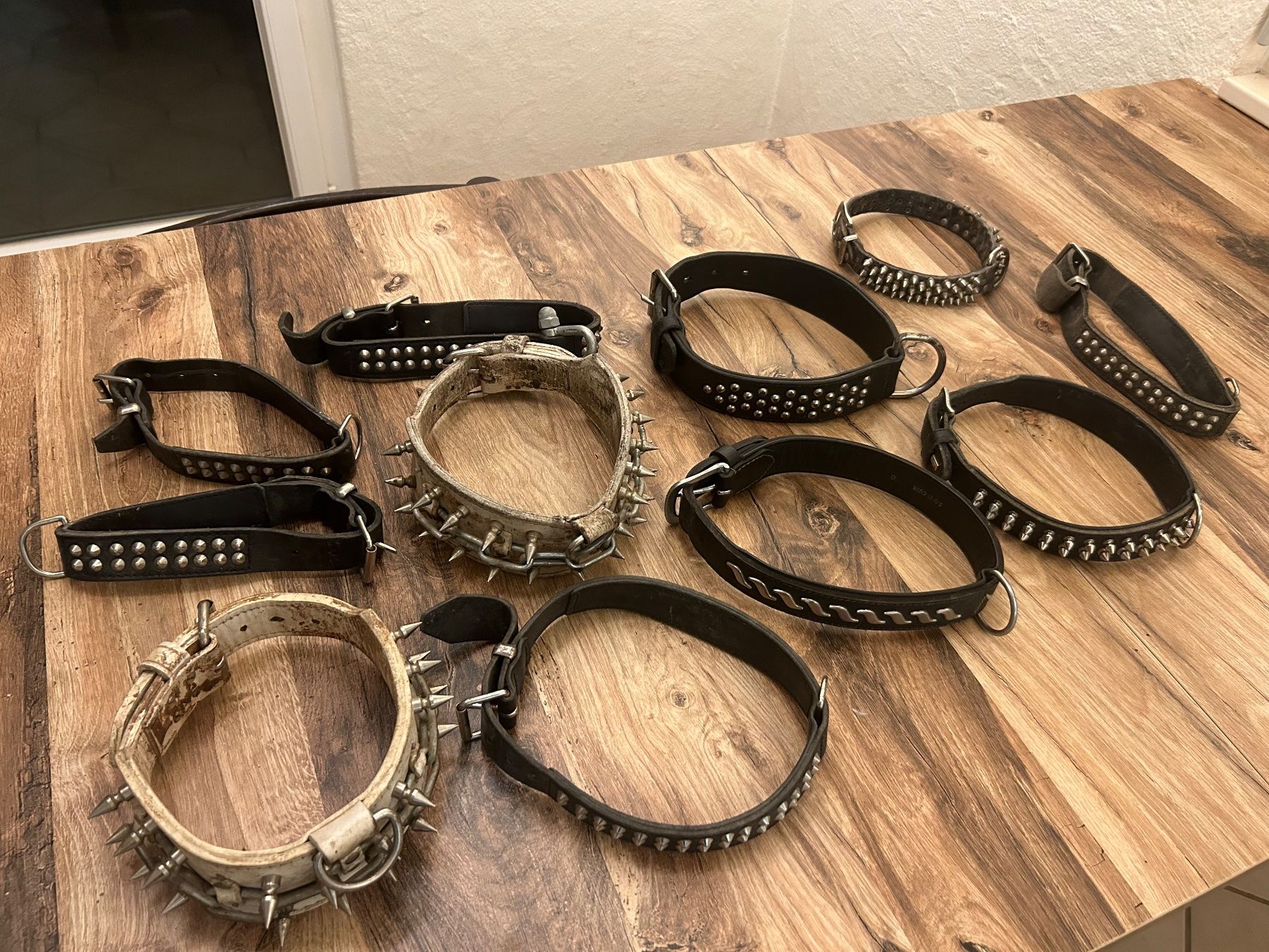 Leine & Halsband: 11 leder hundehalsbänder – Gebraucht aus Reichenburg von Be-nice 2