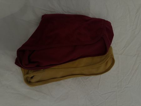 Hollister Shorts (2x Stück)