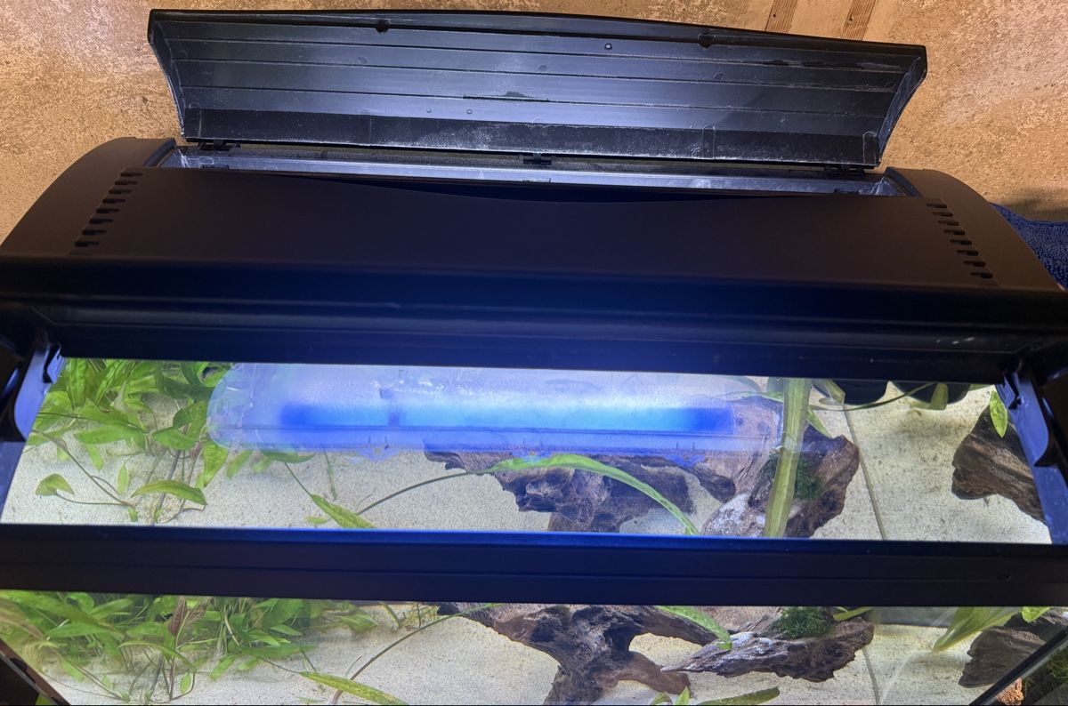 Acquari: Aquarium Amazonas F75 – Usato da Winterthur venduto da Lati85 1