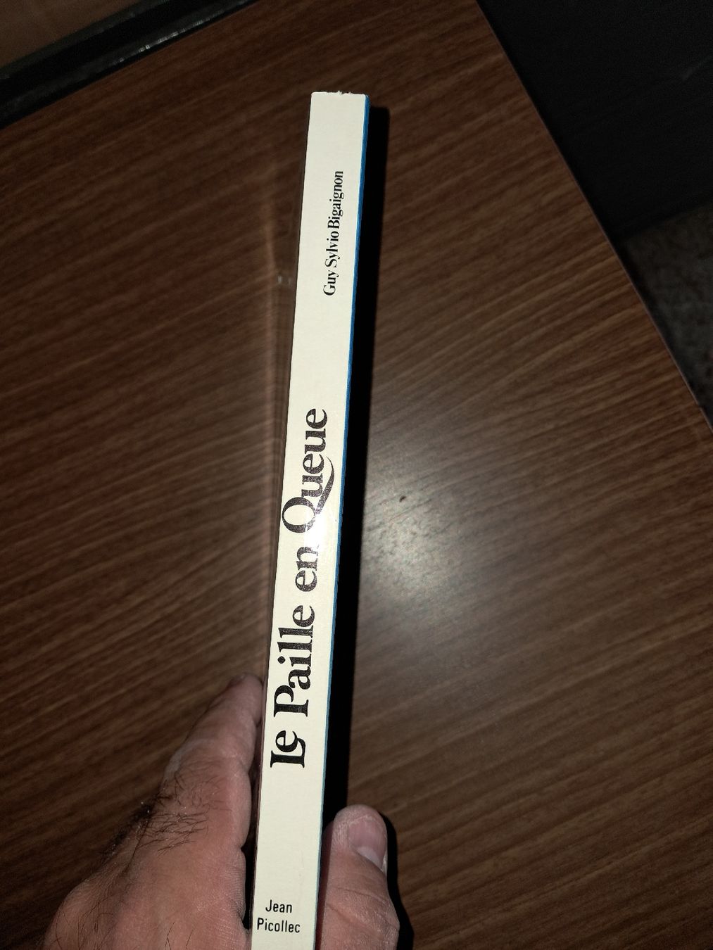 Libri: La paille en queue – Usato da Le locle venduto da juliensaran 1