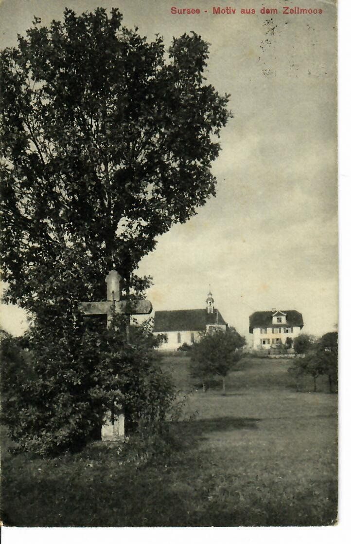 Cartoline postali: Sursee - Zellmoos – Usato da Hochdorf venduto da Ziegel-16