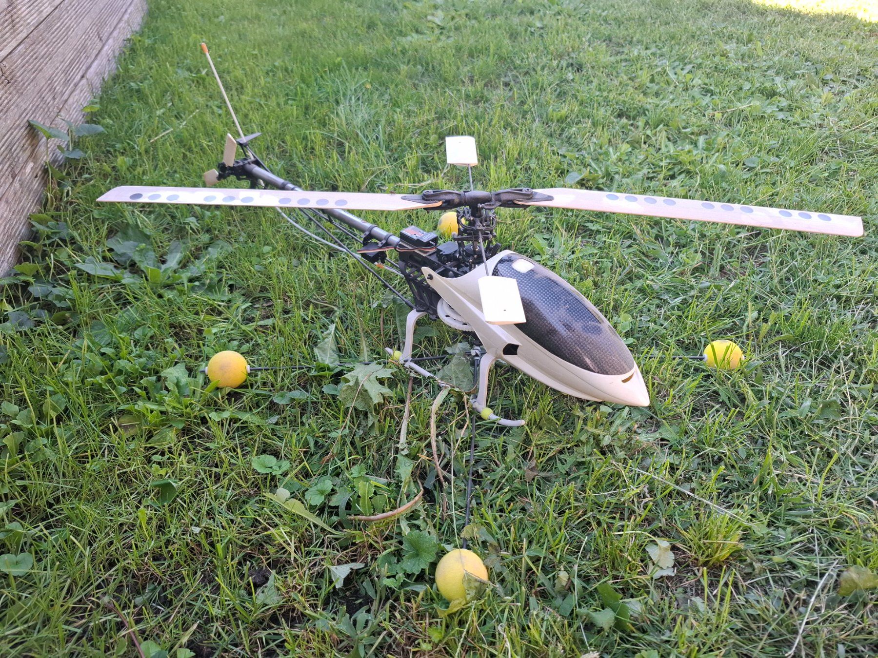 Modellismo RC: Elektrohelli – Usato da Uster venduto da Fluflu5