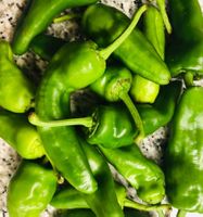 100 SAMEN GRAINES‪ SEMI "Pimiento del Padron"