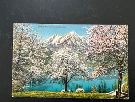 AK 1929 Frühling am Vierwaldstädtersee   (G3957)