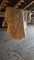 Echtes Schaffell creme natur ca. 120x80 cm guter Zustand