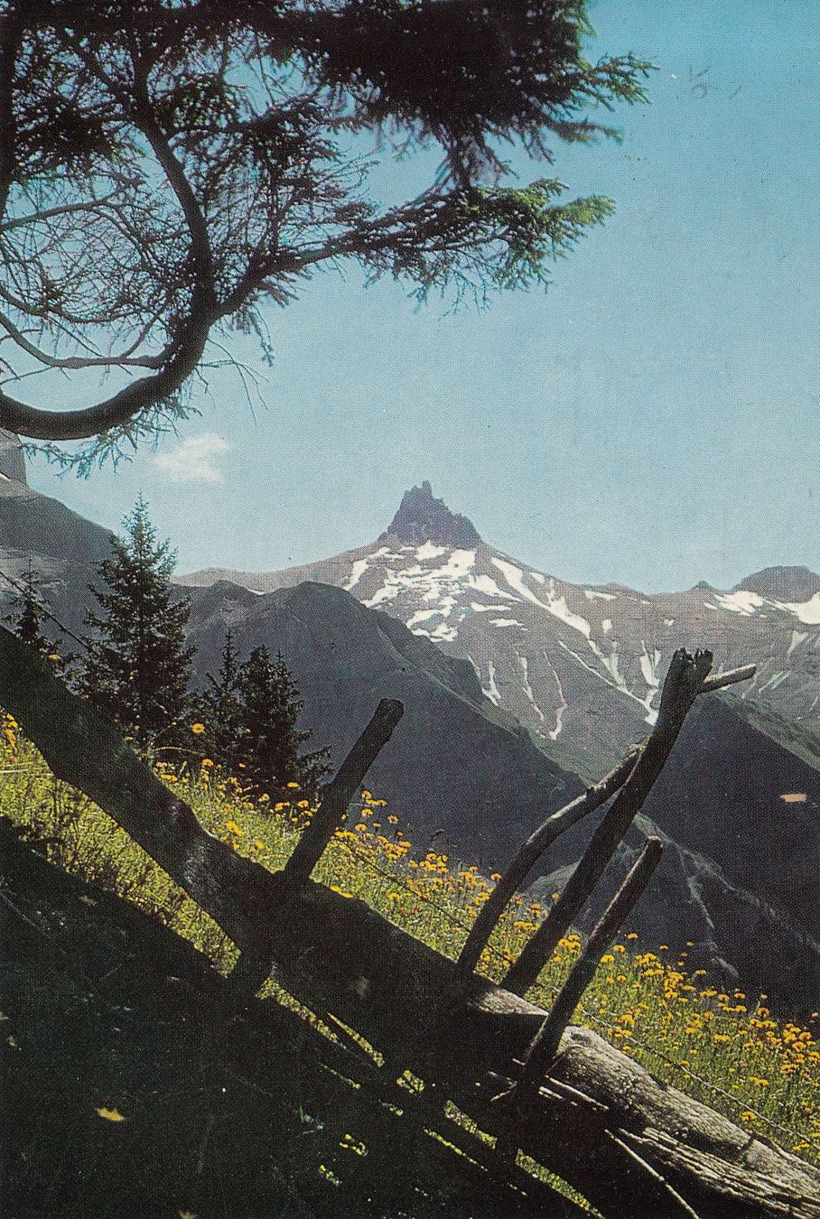 Cartoline postali: Tschingelochtighorn 1969 – Usato da Bürglen TG venduto da StampGraf