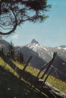 Tschingelochtighorn 1969