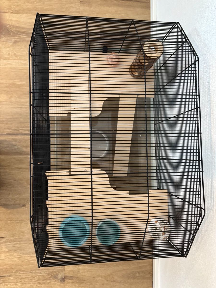 Cages, transport & sécurité: Hamsterkäfig – D'occasion à Wettingen par Brisa2011 3