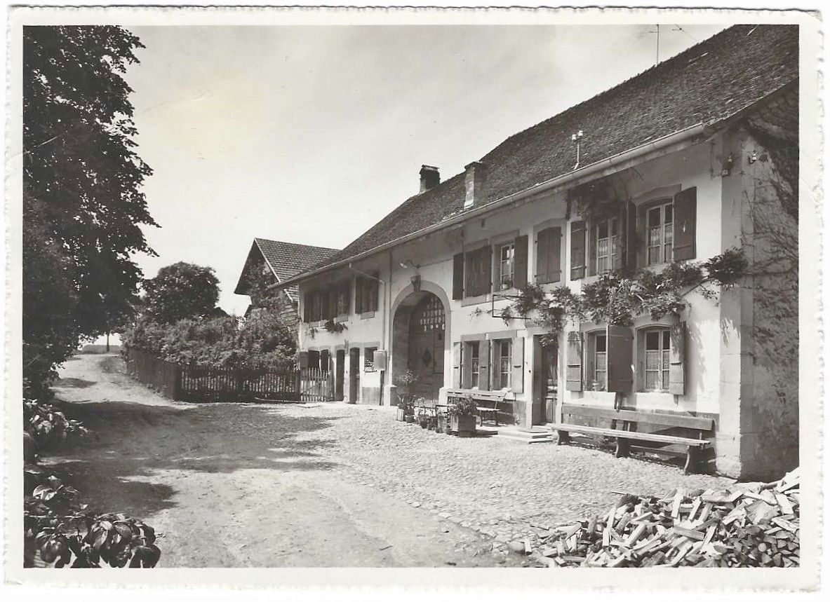 Cartoline postali: Bercher Pension Thoma-Rieben 1946 GF – Usato da Brenles venduto da hello1063