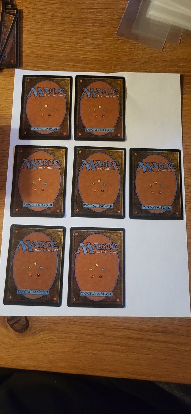 Magic The Gathering Carte collezionabili: MTG - Verschneites Gebirge – Usato da Münsingen venduto da Heroism2010 1