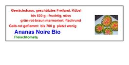 Ananas Noire BIO- Fleischtomate - 1 Tomatensetzling