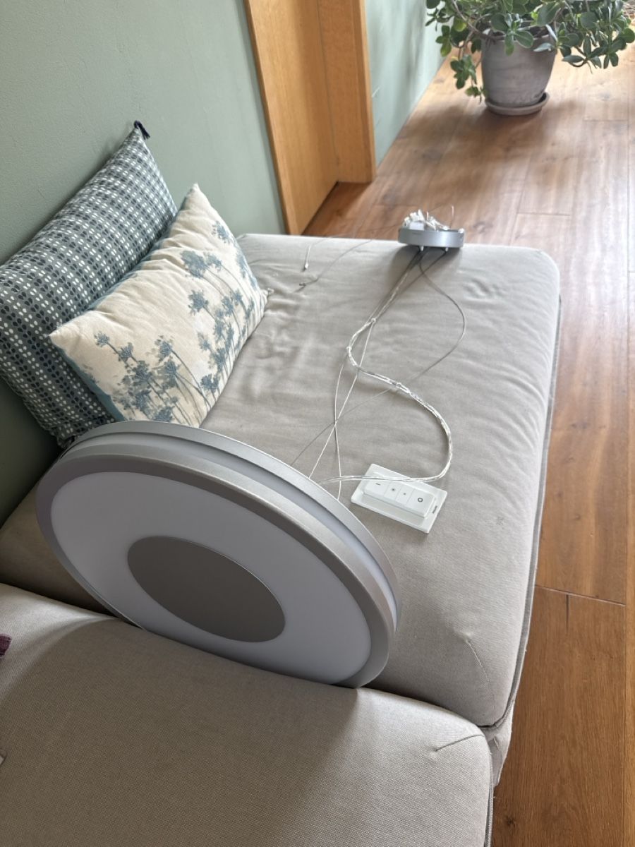 Philips Kronleuchter & Deckenlampen: Deckenleuchte Philips Hue White Ambiance Being – Gebraucht aus niederhasli von Ramonh 1