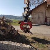 Pinze: Steingreifer mit Rotor, Abbruchzange,  Multigreifer, grappin – Nuovo e nell'imballaggio originale da Münchringen venduto da Patruuna01 3