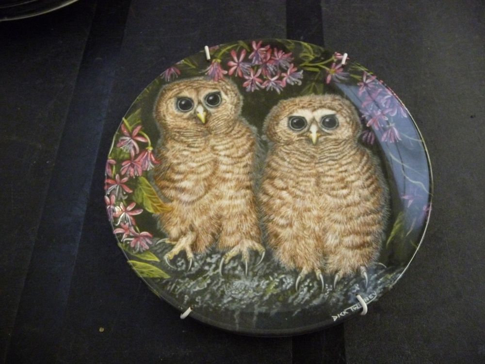 5 Teller Eulen WedgwoodTwinney The Baby Owls (Gebraucht) in Rafz