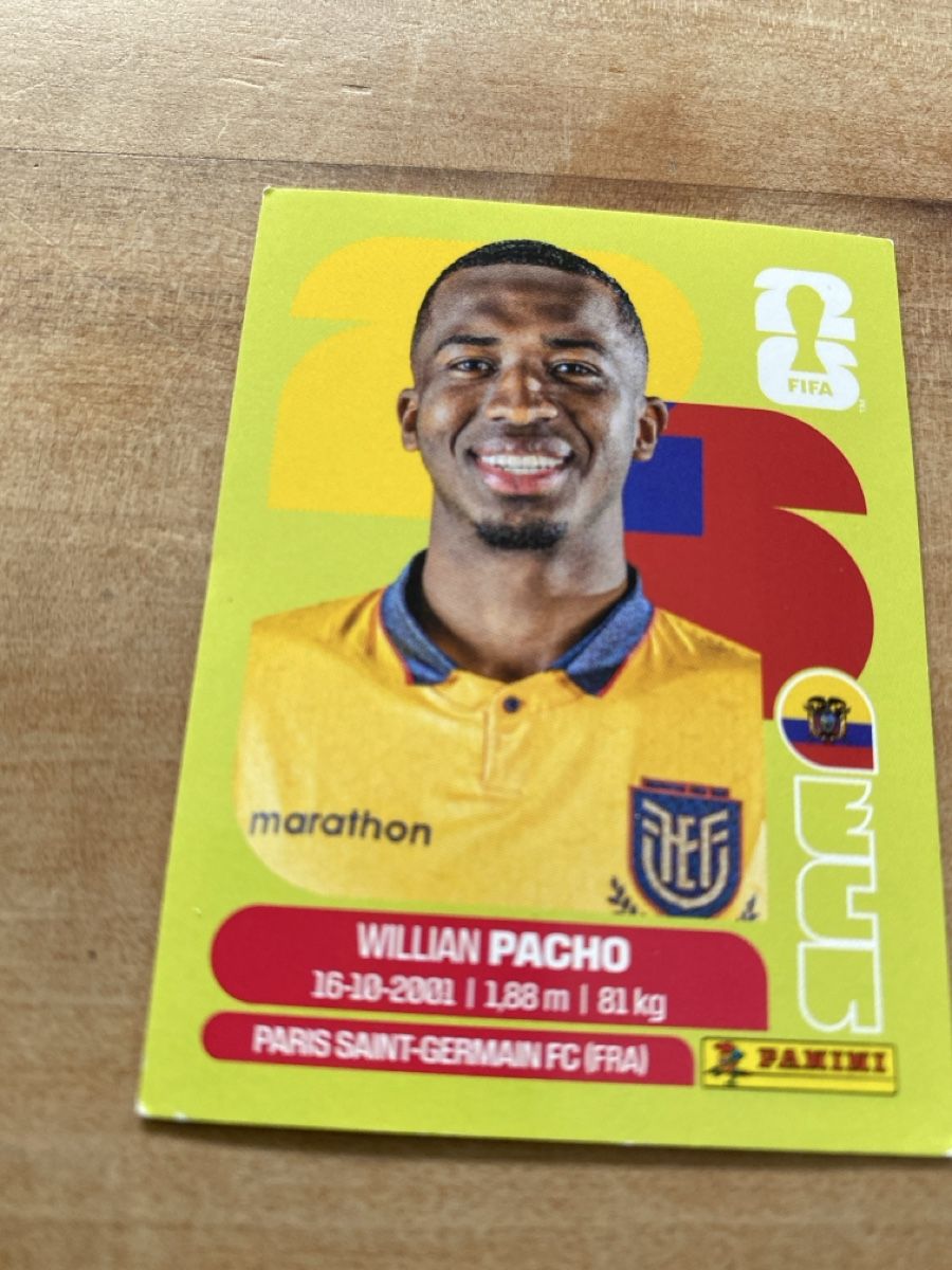 Panini Carte collezionabili: Panini Ecu 6 – Usato da schafisheim venduto da soni13