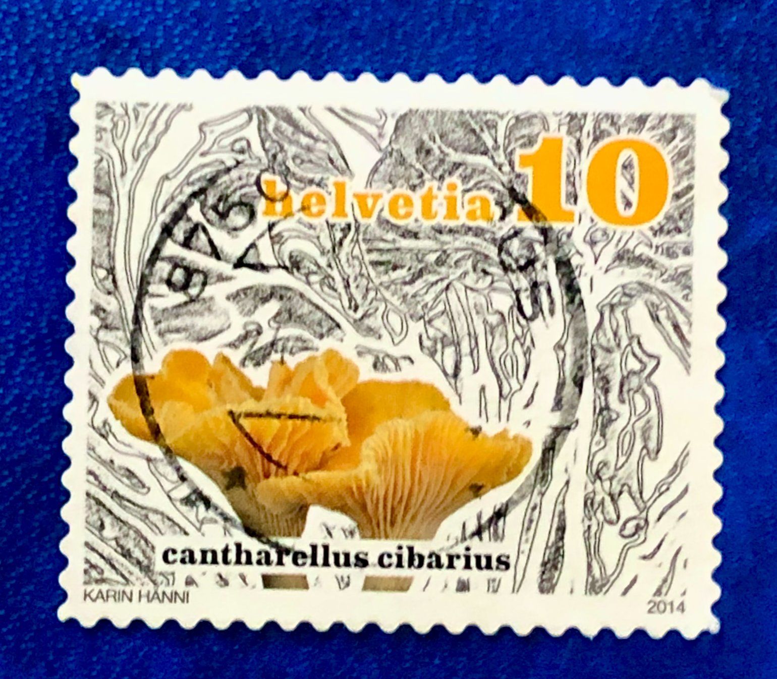 Tutti i francobolli: Nr.1503 Eierschwamm Dauermarken GESTEMPELT 2014    – Usato da Aarau venduto da Billa007