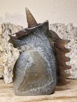 Achat Einhorn mit Funkel Druse 610g