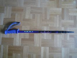 Wanderstock (1 Stock)