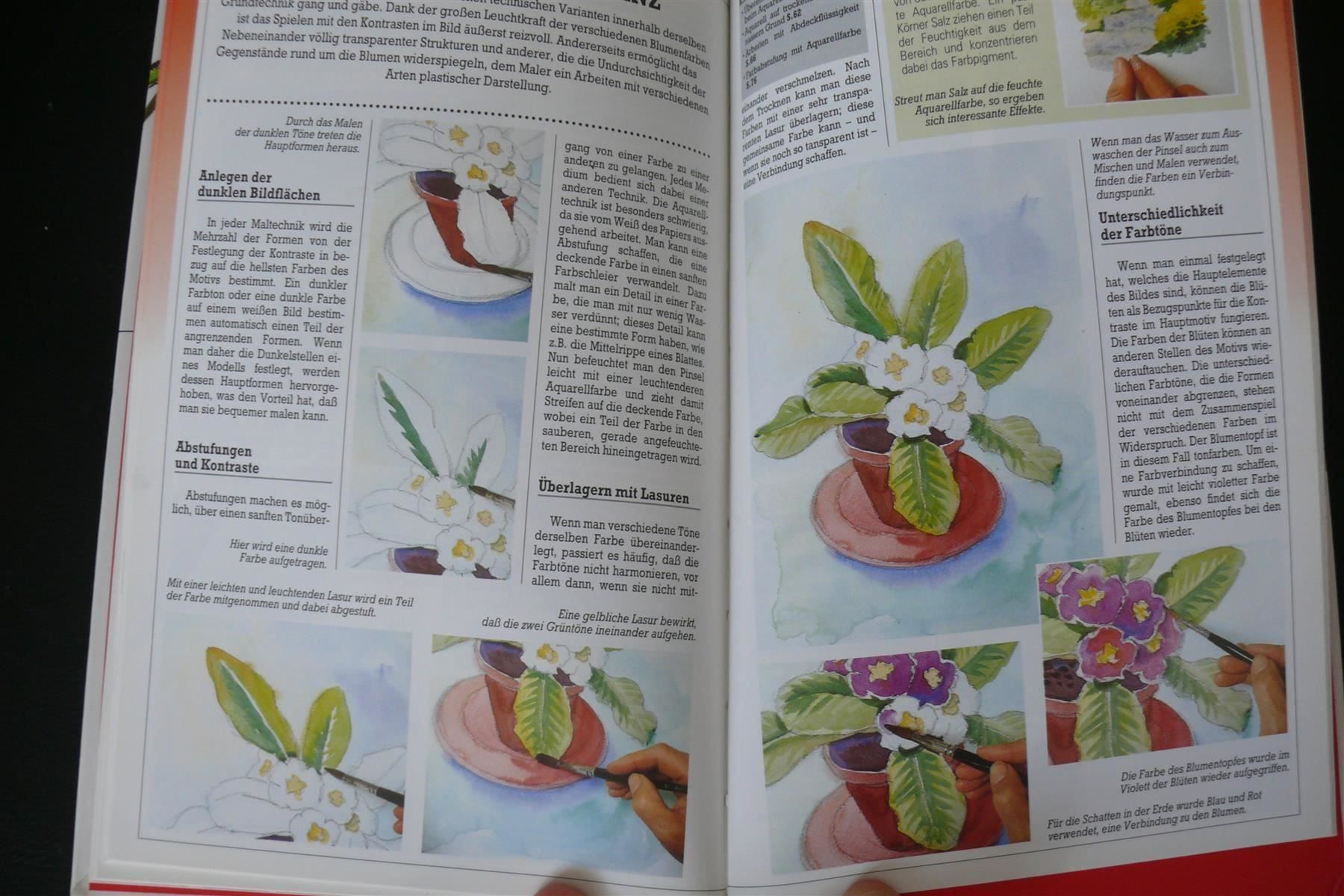 Bücher: Blumenmalerei / Werkstattbuch - Techniken / Anleitungen .... – Gebraucht aus Muttenz von Negnuja 2