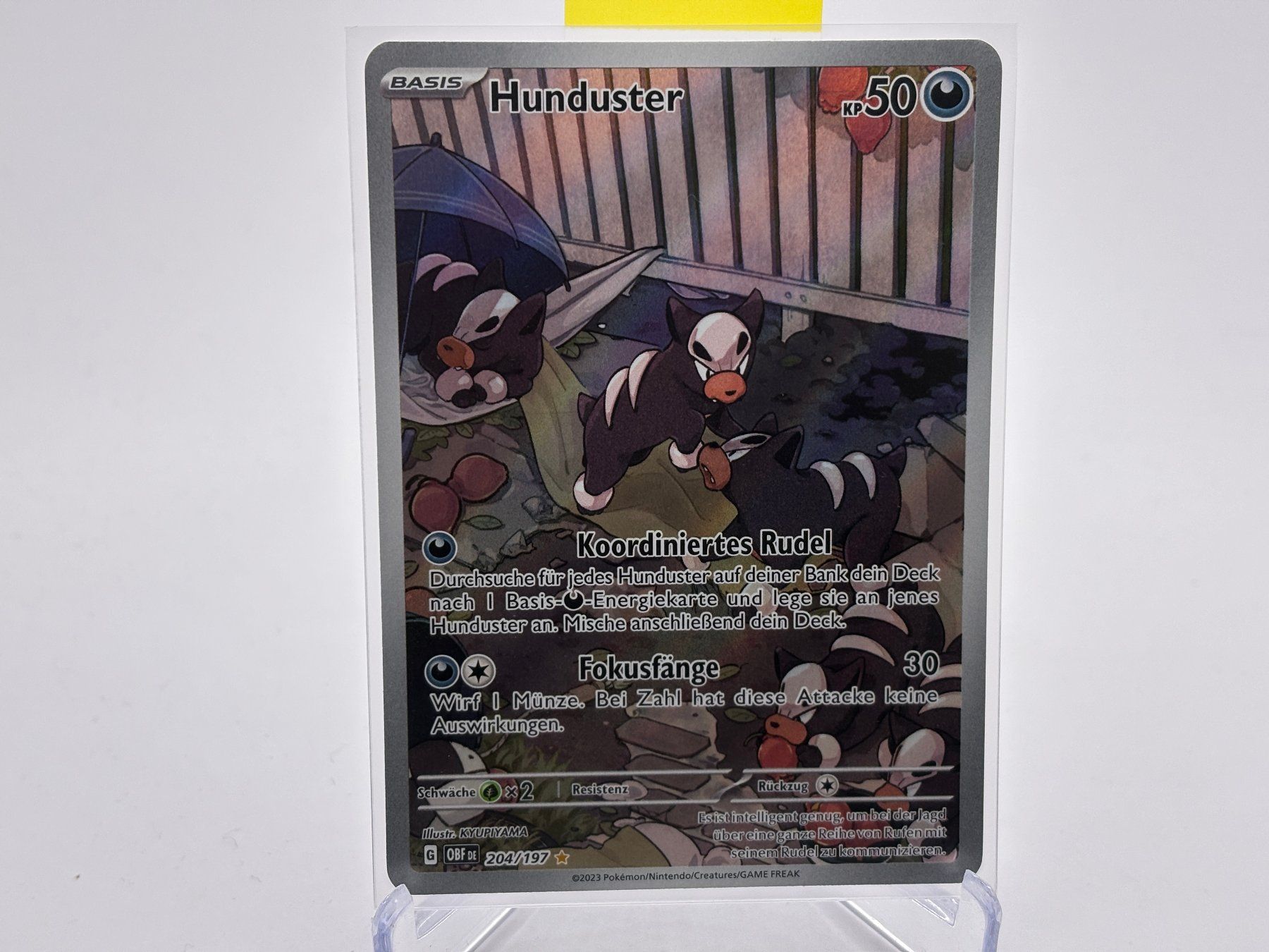 Pokémon Carte collezionabili: Obsidianflammen - Hunduster  (OBF 204) - DE – Nuovo (secondo la descrizione) da Allschwil venduto da Bullach
